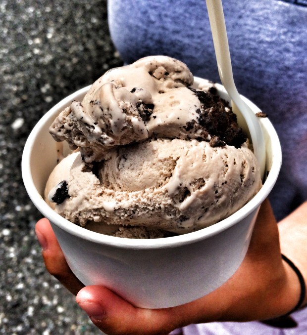 Cookies and Cream Ice Cream