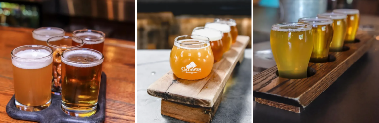 Asheville Beer