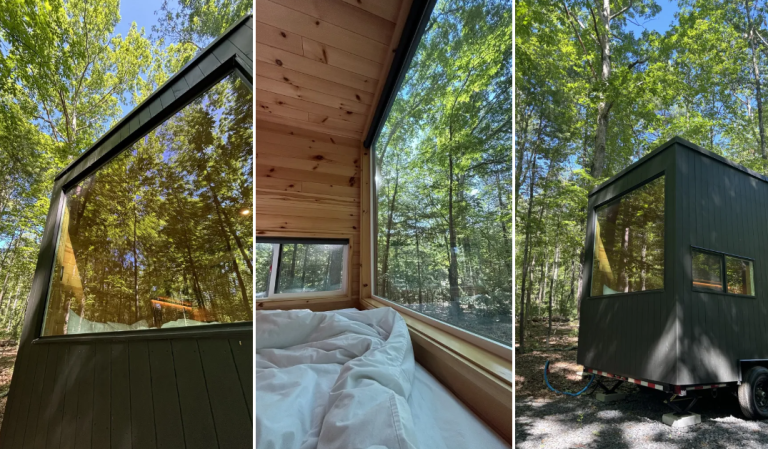 Modern tiny house with large glass walls reflecting a green forest, wooden exterior and bed visible inside on the left panel.