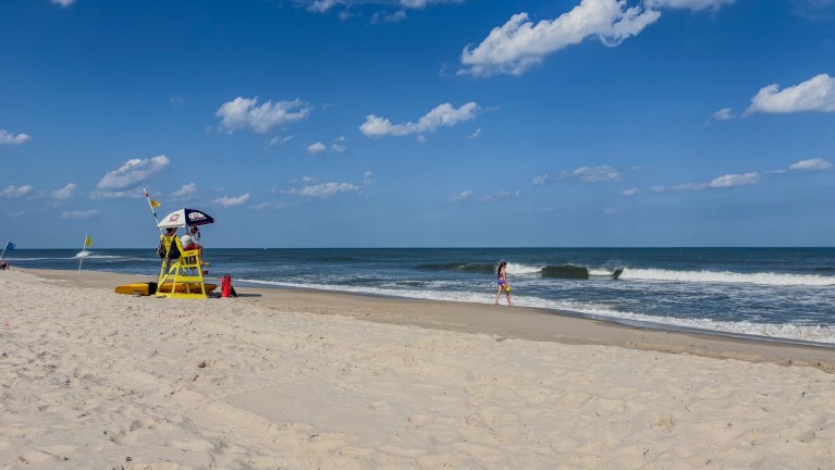 LBI