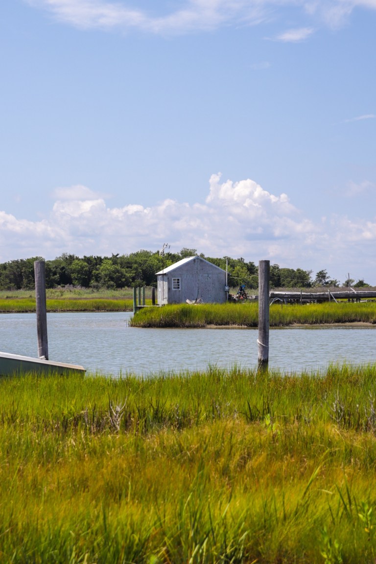 Smith Island